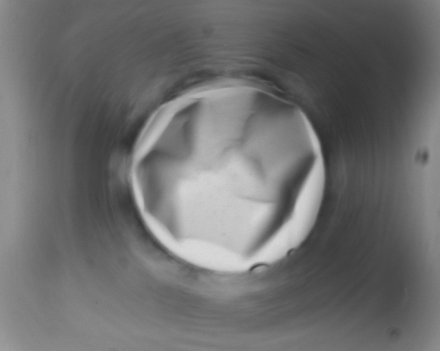 X0000113860041200910151247