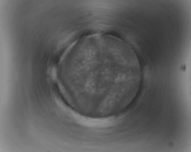 X0000113860042200910151247
