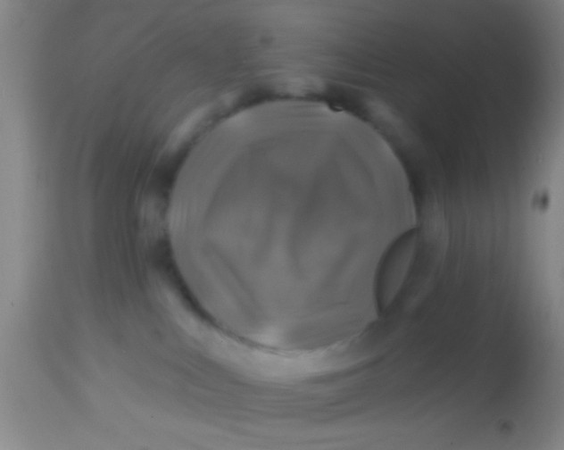 X0000113860043200910151247