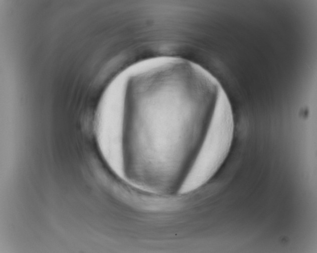 X0000113860044200910151247