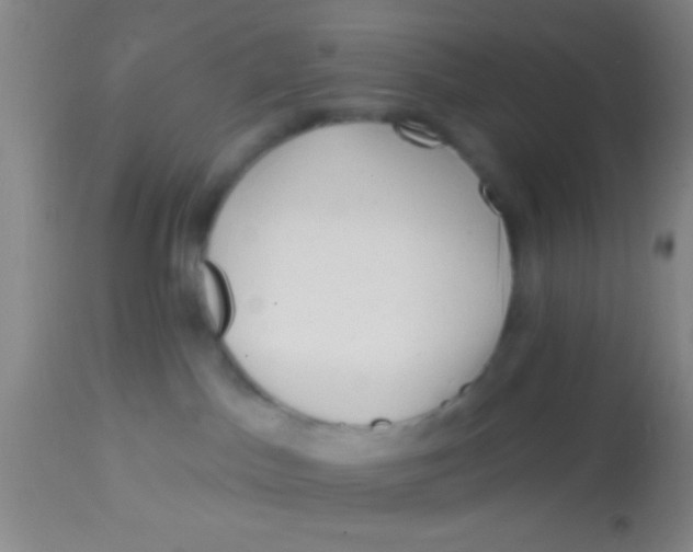 X0000113860045200910151247