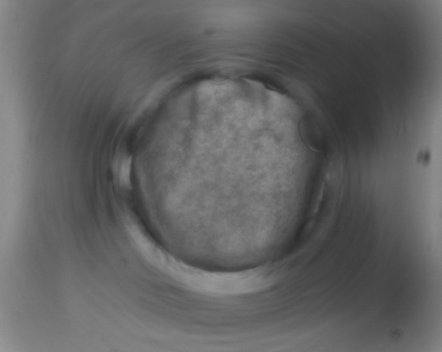 X0000113860046200910151247
