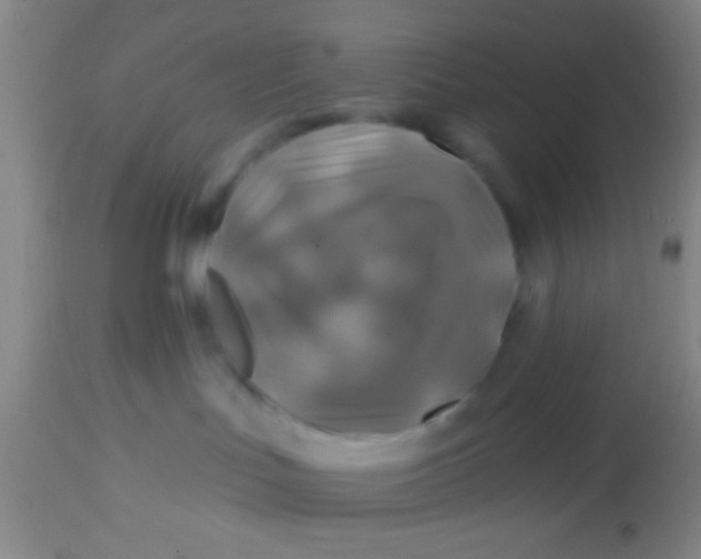 X0000113860047200910151247
