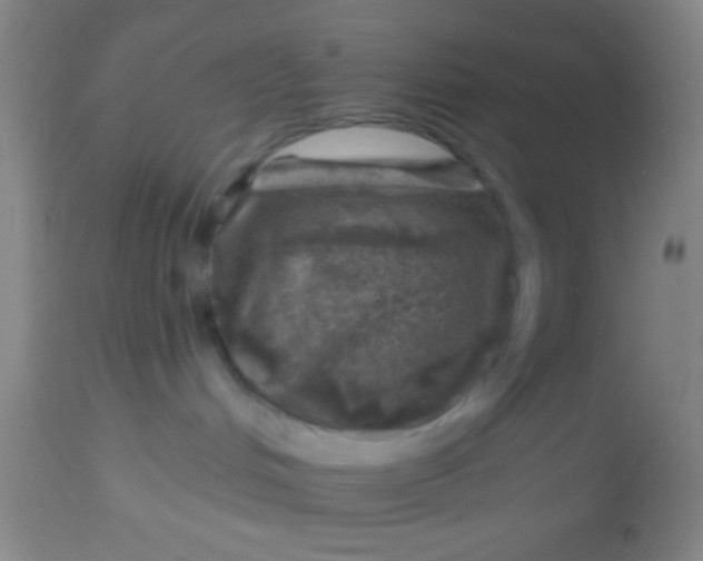 X0000113860048200910151247
