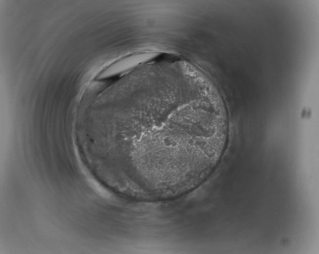 X0000113860049200910151246