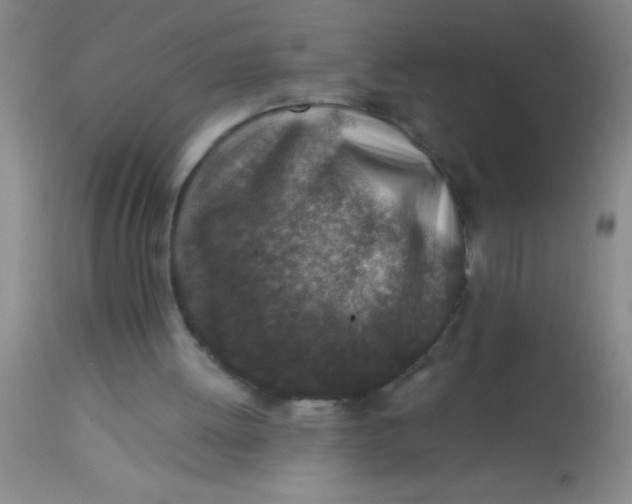 X0000113860052200910151246