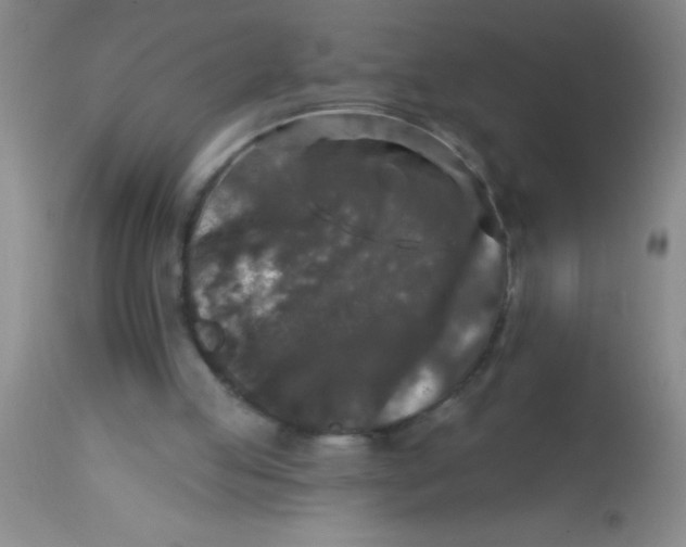 X0000113860053200910151246