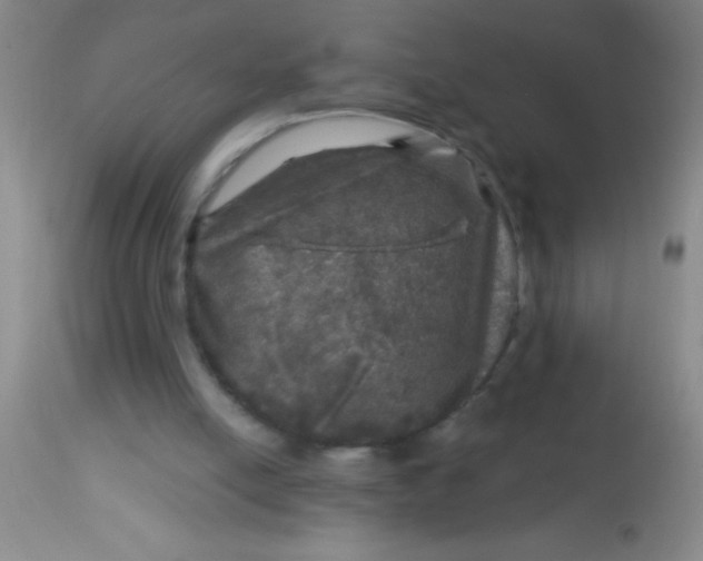 X0000113860054200910151246