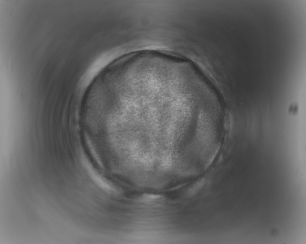 X0000113860055200910151246
