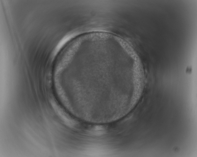 X0000113860056200910151246