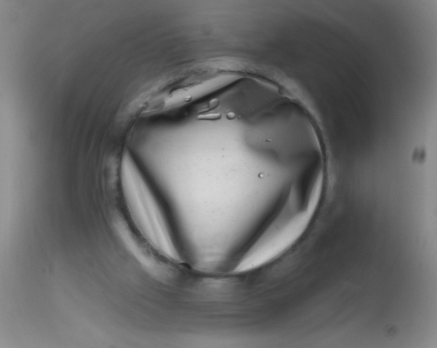 X0000113860057200910151246