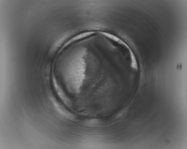 X0000113860058200910151246