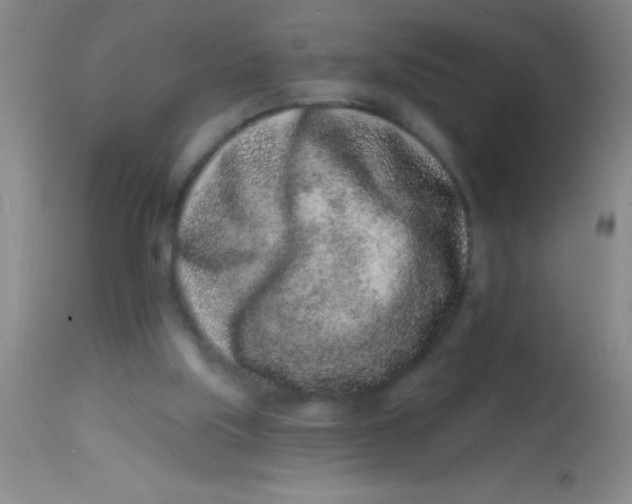 X0000113860059200910151246