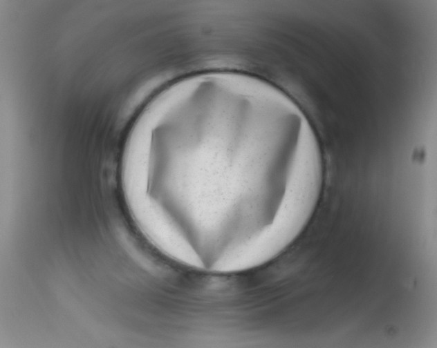 X0000113860060200910151246