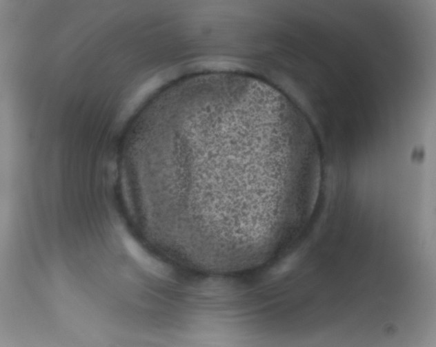 X0000113860063200910151246