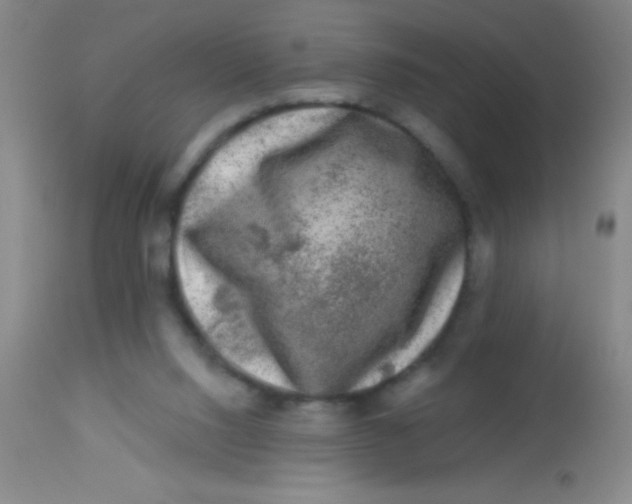 X0000113860064200910151246
