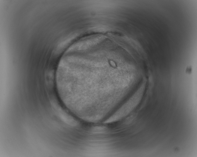 X0000113860066200910151246