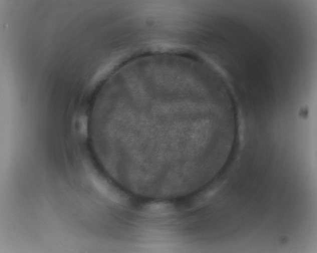 X0000113860067200910151246