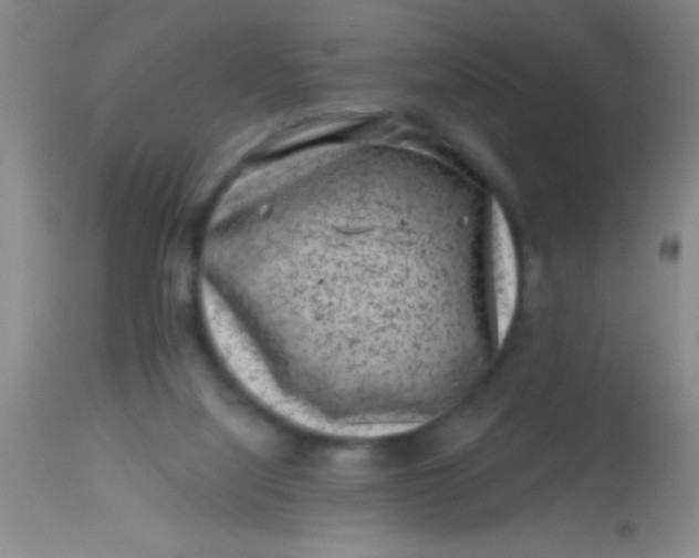 X0000113860068200910151246