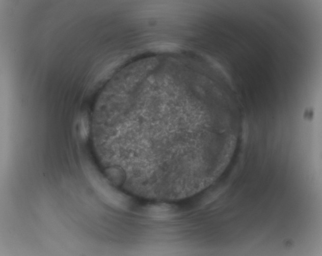 X0000113860069200910151246