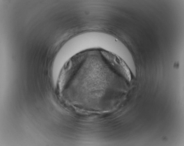 X0000113860072200910151246