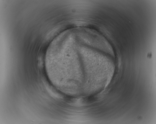 X0000113860074200910151246