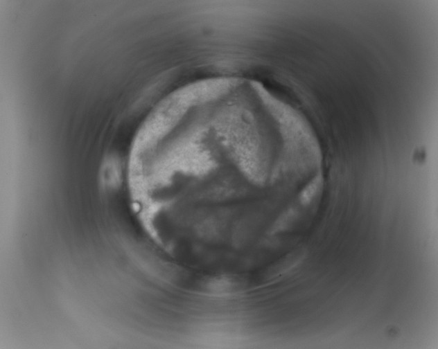 X0000113860075200910151246