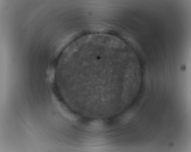 X0000113860076200910151246