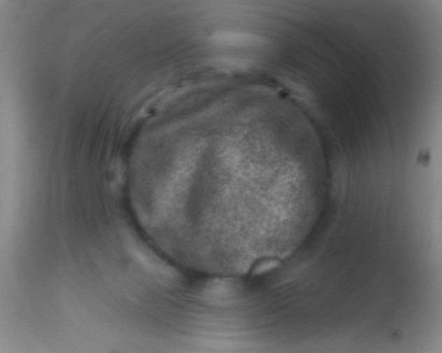 X0000113860077200910151246