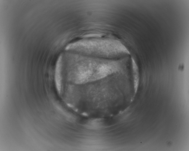 X0000113860078200910151246