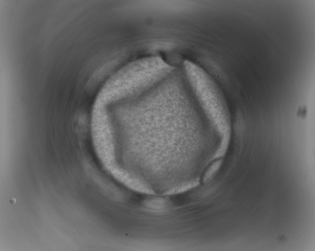 X0000113860079200910151246