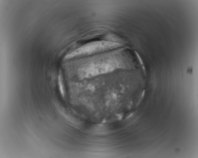 X0000113860082200910151246