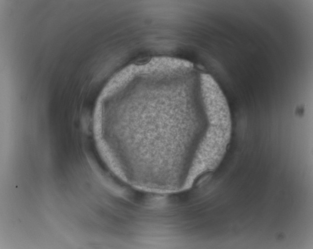 X0000113860083200910151247