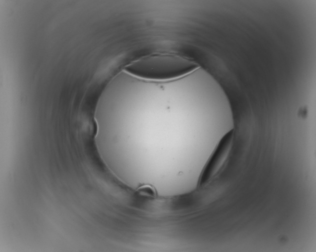 X0000113860084200910151247