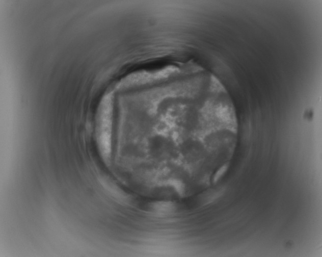 X0000113860085200910151247
