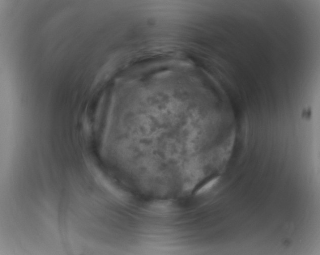 X0000113860086200910151247
