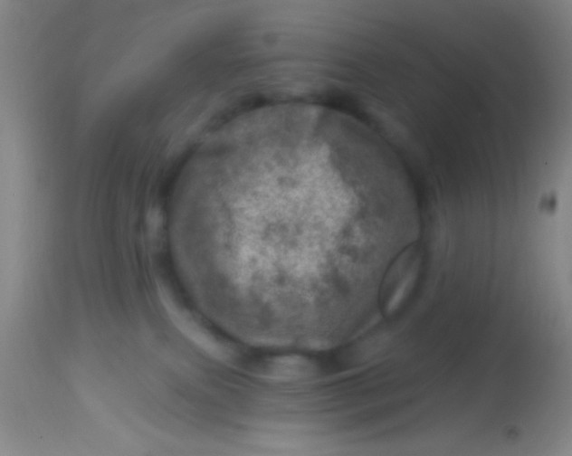 X0000113860087200910151247
