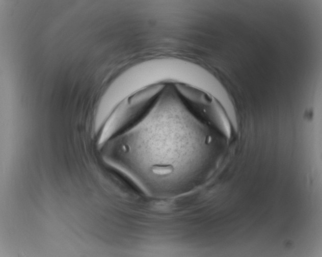 X0000113860088200910151247