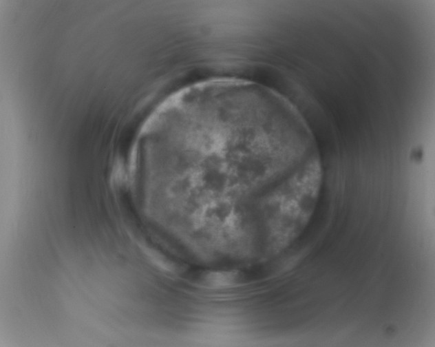 X0000113860089200910151247