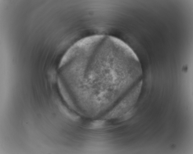 X0000113860090200910151247