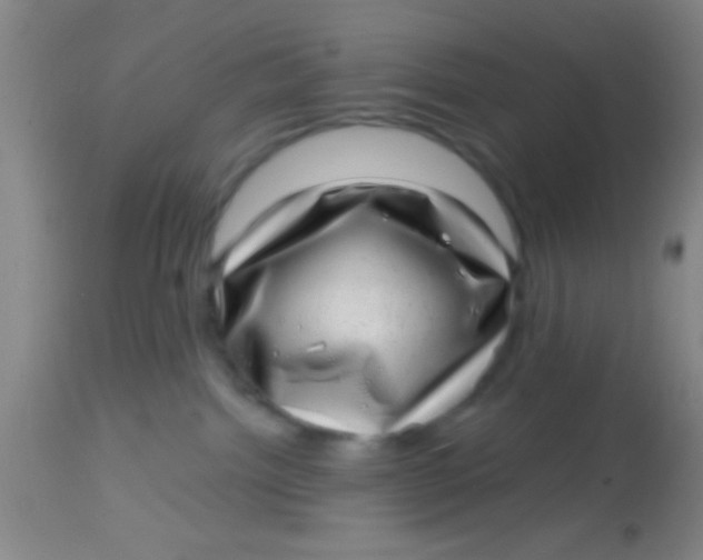 X0000113860092200910151247