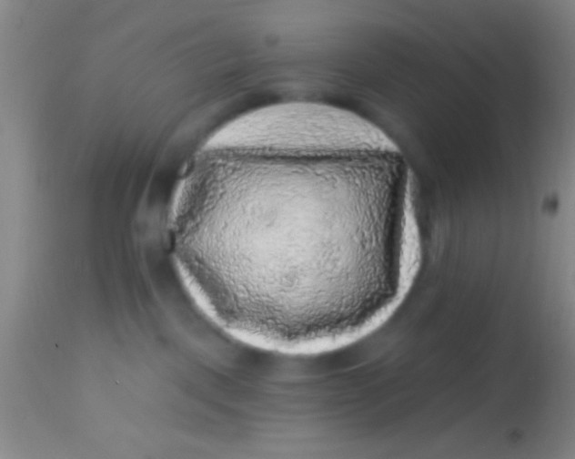 X0000113860093200910151247