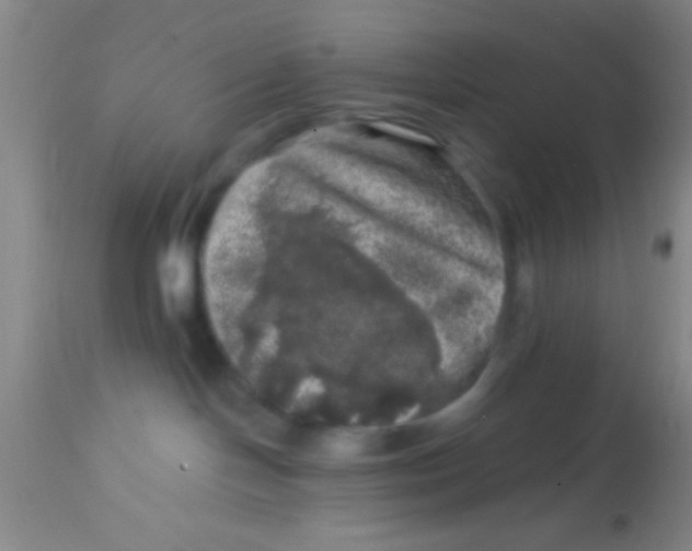 X0000113860094200910151247