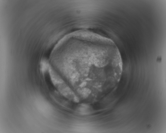 X0000113860095200910151247