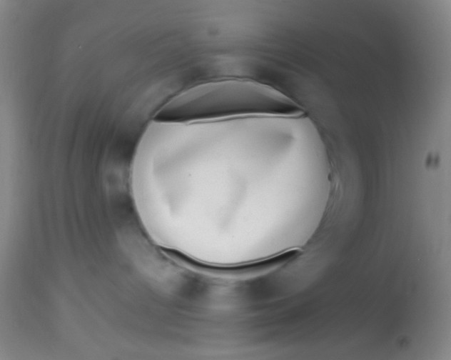 X0000113860096200910151247