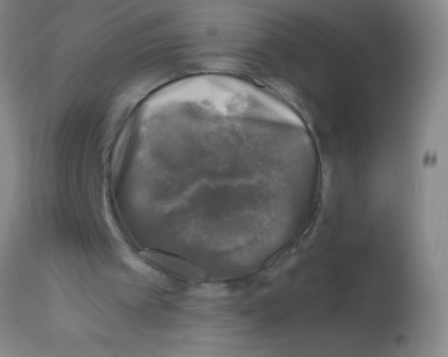 X0000113860097200910151246