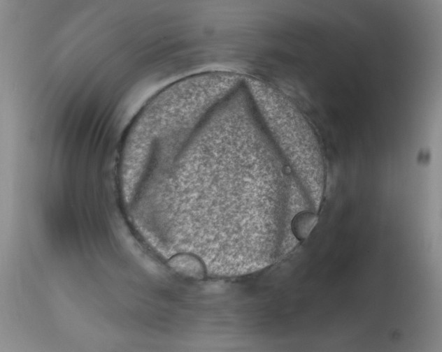 X0000113860098200910151246