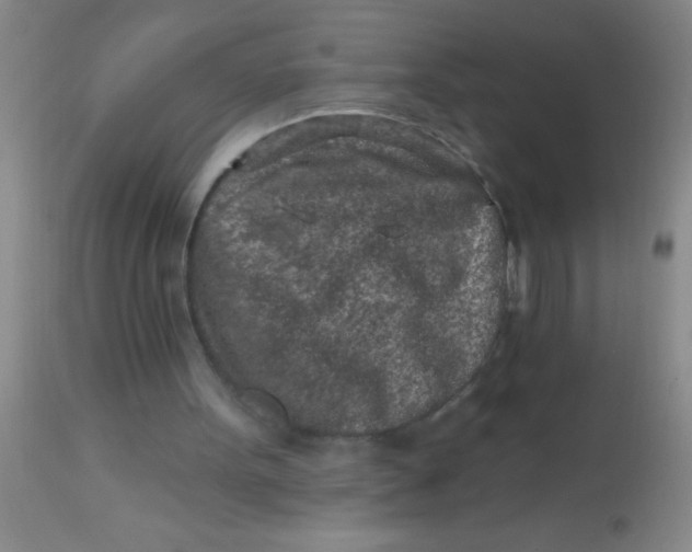 X0000113860099200910151246