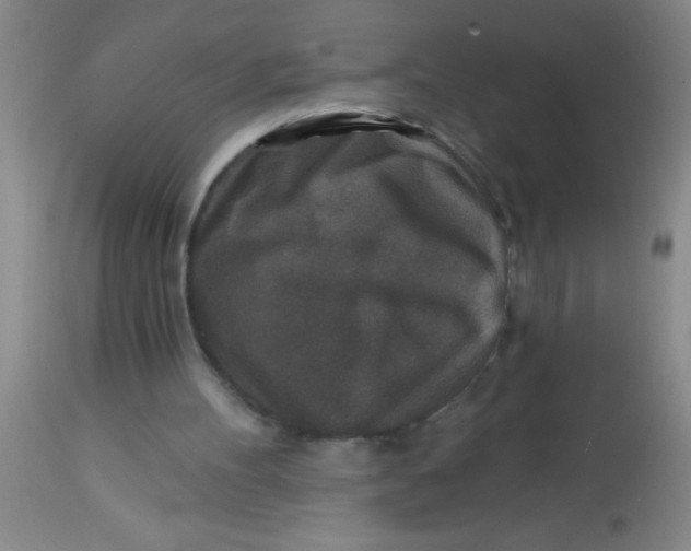 X0000113860100200910151246