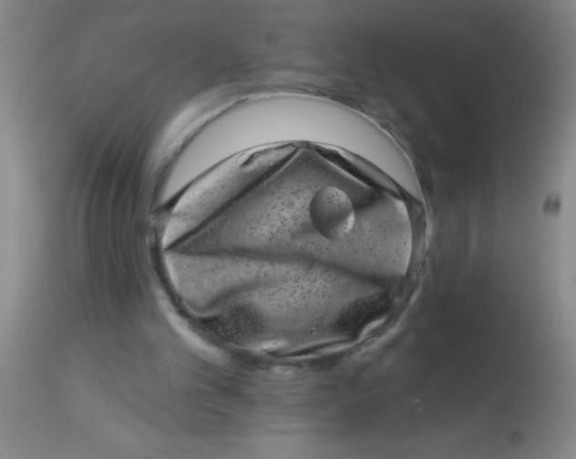 X0000113860101200910151246